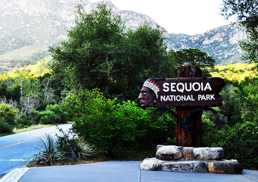 Sequoia National Park